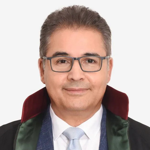 Turkish Law Firm Lawyers